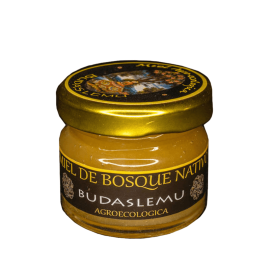 Miel de Bosque Nativo 30 grs