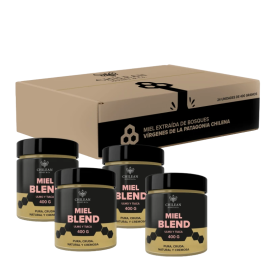 Miel Blend Empaque Mayorista 24 Unidades de 400 grs